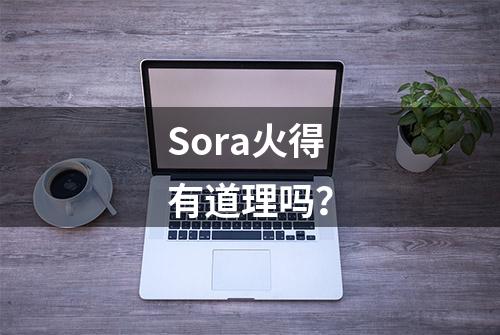 Sora火得有道理吗？