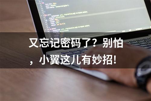 又忘记密码了？别怕，小翼这儿有妙招!