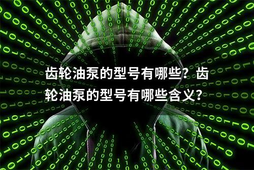 齿轮油泵的型号有哪些？齿轮油泵的型号有哪些含义？