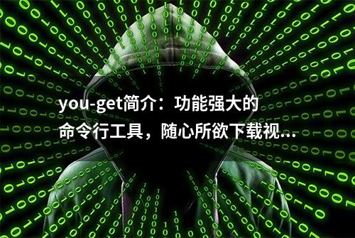 you-get简介：功能强大的命令行工具，随心所欲下载视频