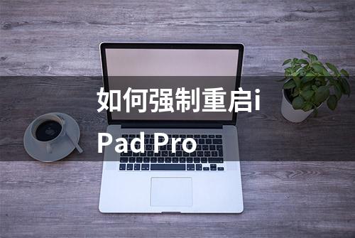 如何强制重启iPad Pro