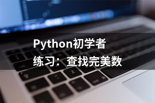 Python初学者练习：查找完美数