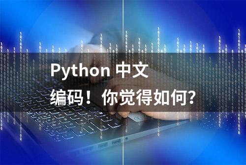 Python 中文编码！你觉得如何？