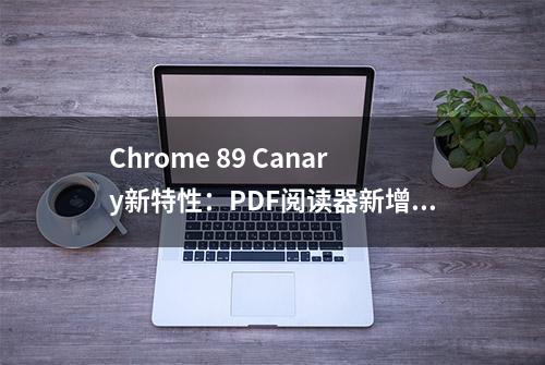 Chrome 89 Canary新特性：PDF阅读器新增全屏/演示模式