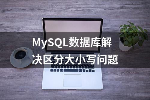 MySQL数据库解决区分大小写问题