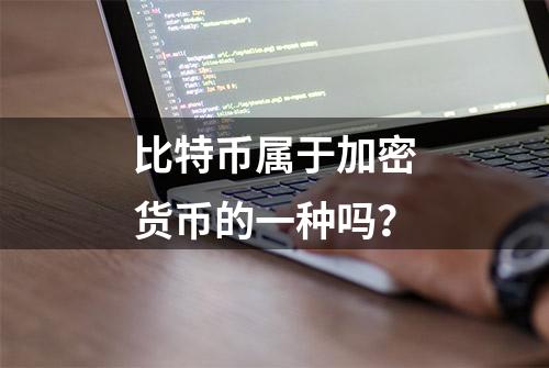 比特币属于加密货币的一种吗？