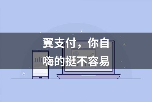 翼支付，你自嗨的挺不容易