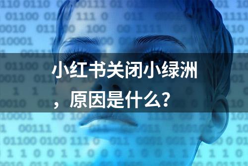 小红书关闭小绿洲，原因是什么？