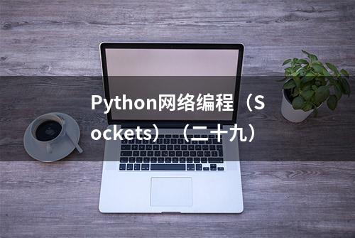 Python网络编程（Sockets）（二十九）