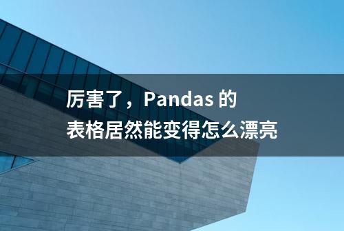 厉害了，Pandas 的表格居然能变得怎么漂亮