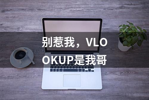 别惹我，VLOOKUP是我哥