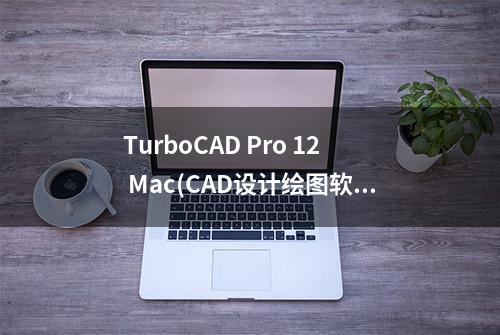 TurboCAD Pro 12 Mac(CAD设计绘图软件)