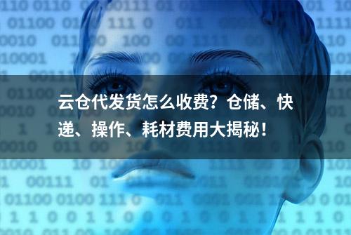 云仓代发货怎么收费？仓储、快递、操作、耗材费用大揭秘！