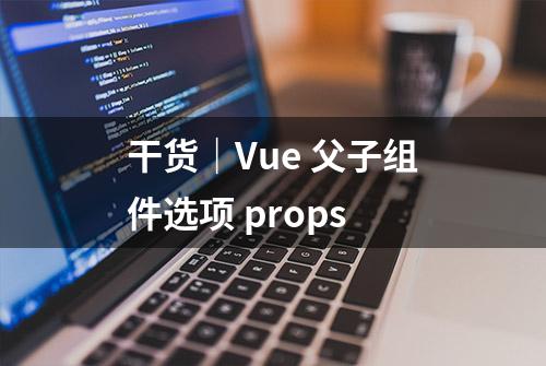 干货｜Vue 父子组件选项 props