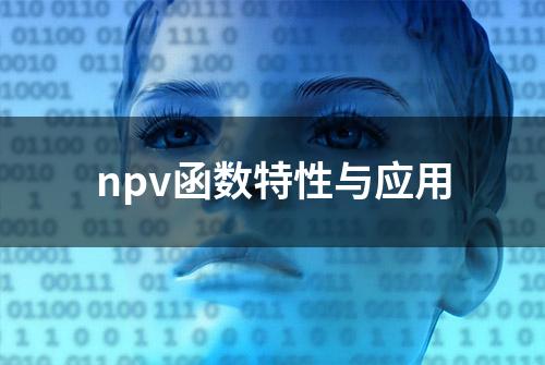 npv函数特性与应用