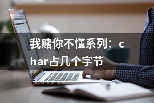 我赌你不懂系列：char占几个字节