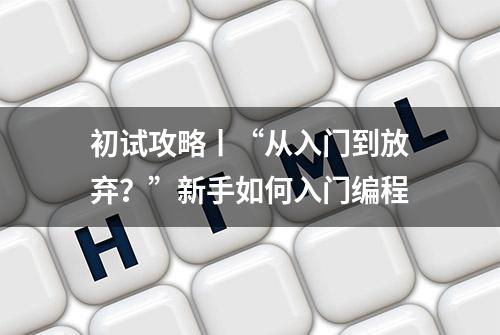 初试攻略丨“从入门到放弃？”新手如何入门编程