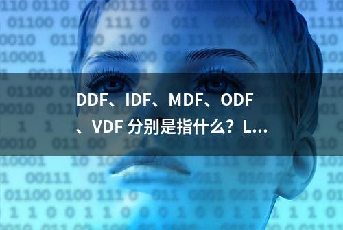 DDF、IDF、MDF、ODF、VDF 分别是指什么？LIU是干什么的？