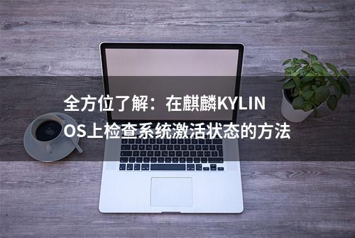 全方位了解：在麒麟KYLINOS上检查系统激活状态的方法