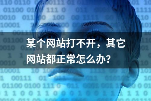 某个网站打不开，其它网站都正常怎么办？