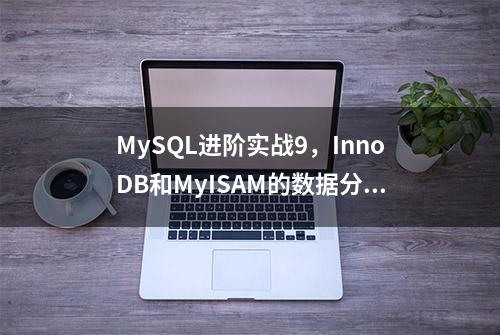 MySQL进阶实战9，InnoDB和MyISAM的数据分布对比