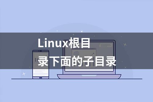 Linux根目录下面的子目录