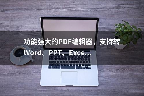 功能强大的PDF编辑器，支持转Word、PPT、Excel等，关键还破解了