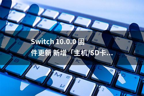 Switch 10.0.0 固件更新 新增「主机/SD卡间数据转移」功能