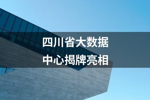 四川省大数据中心揭牌亮相