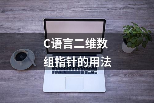 C语言二维数组指针的用法