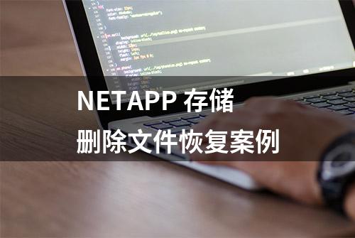 NETAPP 存储删除文件恢复案例