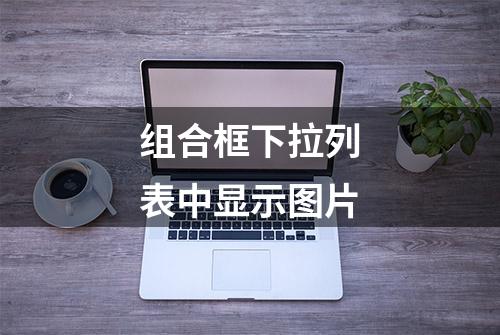 组合框下拉列表中显示图片