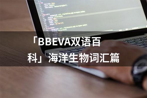 「BBEVA双语百科」海洋生物词汇篇