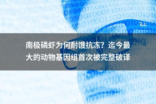 南极磷虾为何耐饿抗冻？迄今最大的动物基因组首次被完整破译