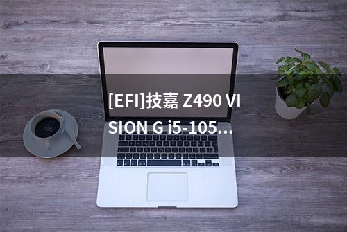 [EFI]技嘉 Z490 VISION G i5-10500 电脑 Hackintosh 黑苹果引导文件