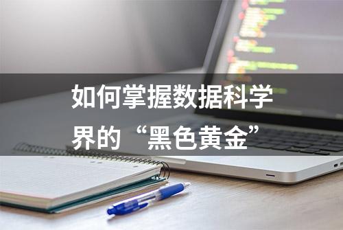 如何掌握数据科学界的“黑色黄金”