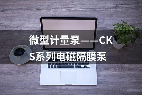 微型计量泵——CKS系列电磁隔膜泵