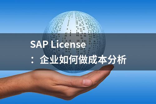 SAP License：企业如何做成本分析