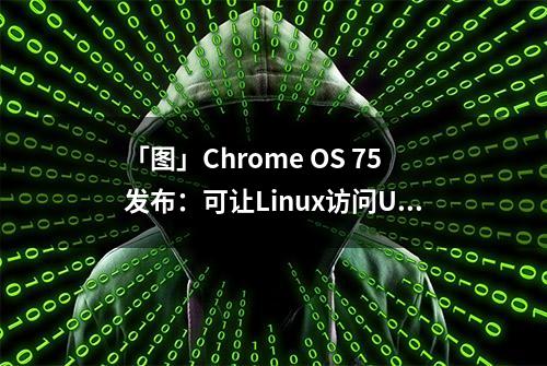 「图」Chrome OS 75发布：可让Linux访问USB连接的Android设备