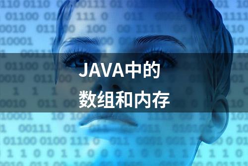 JAVA中的数组和内存