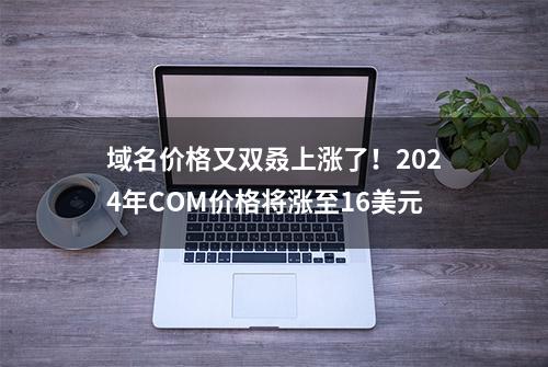 域名价格又双叒上涨了！2024年COM价格将涨至16美元