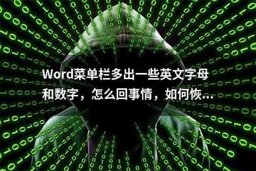 Word菜单栏多出一些英文字母和数字，怎么回事情，如何恢复原样？