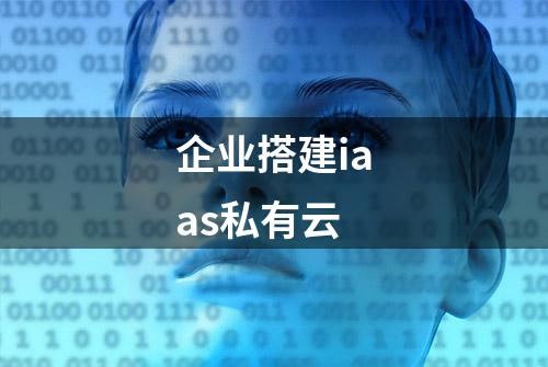 企业搭建iaas私有云