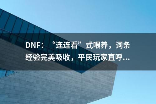 DNF：“连连看”式喂养，词条经验完美吸收，平民玩家直呼伤不起