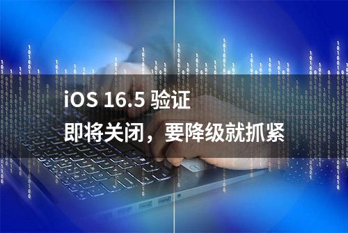 iOS 16.5 验证即将关闭，要降级就抓紧