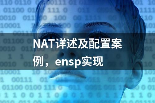 NAT详述及配置案例，ensp实现