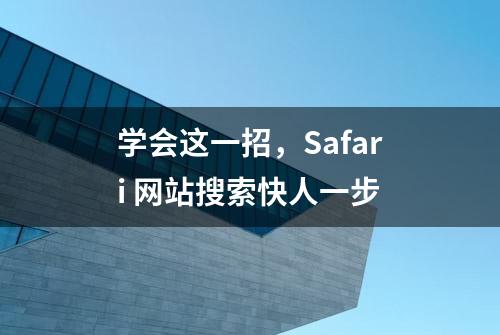 学会这一招，Safari 网站搜索快人一步