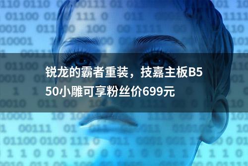 锐龙的霸者重装，技嘉主板B550小雕可享粉丝价699元