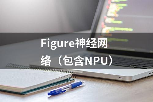 Figure神经网络（包含NPU）