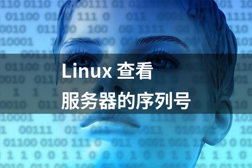 Linux 查看服务器的序列号